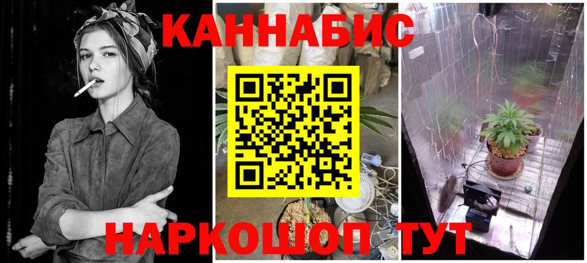 Бошки Шишки план  Шишки марихуана White Widow  Нефтекумск  Вход с VPN 
